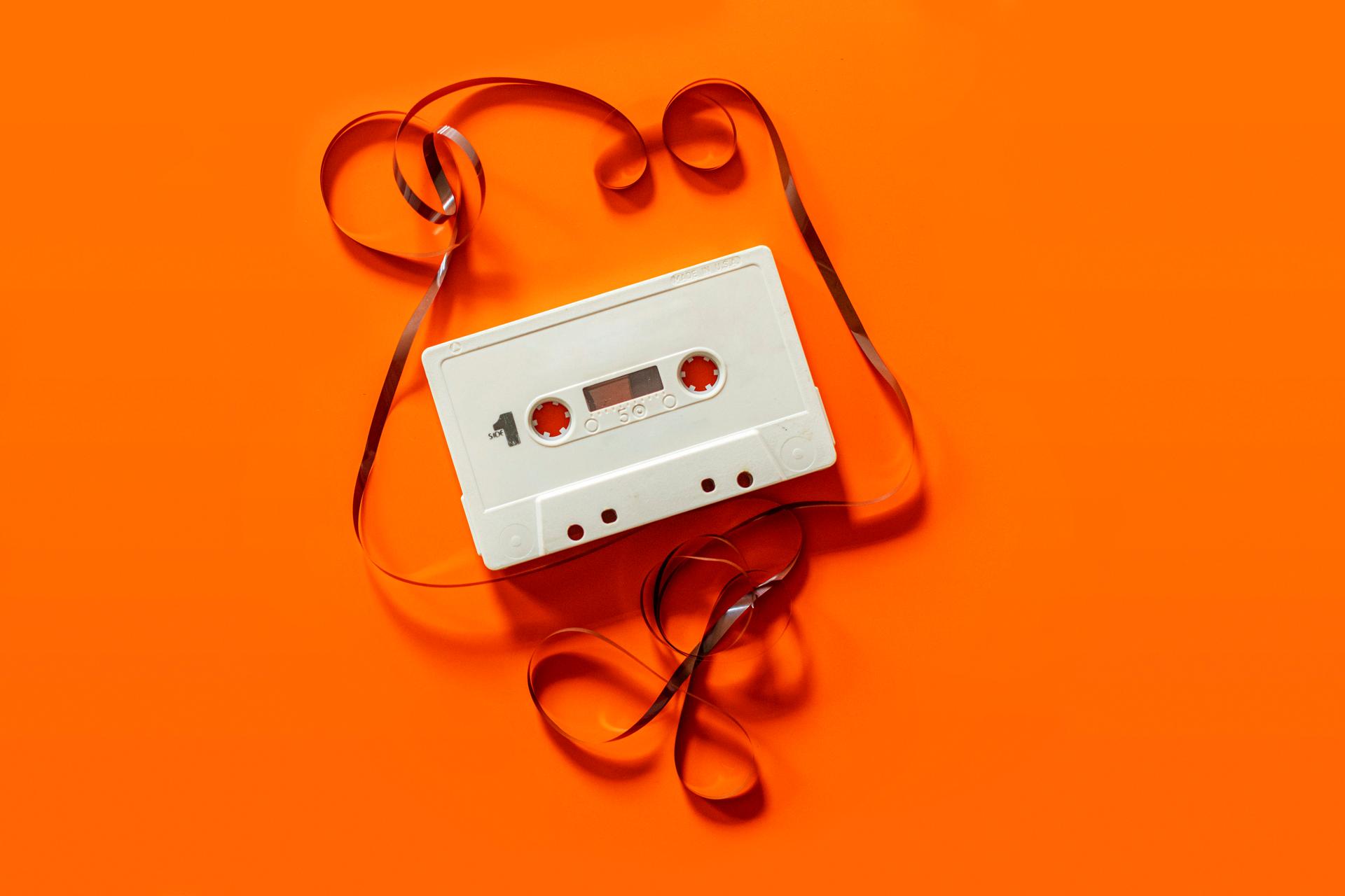 Electronic Artist Case Study
