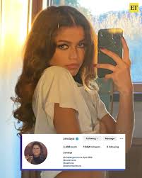 celebrities who manage their social media zendaya
